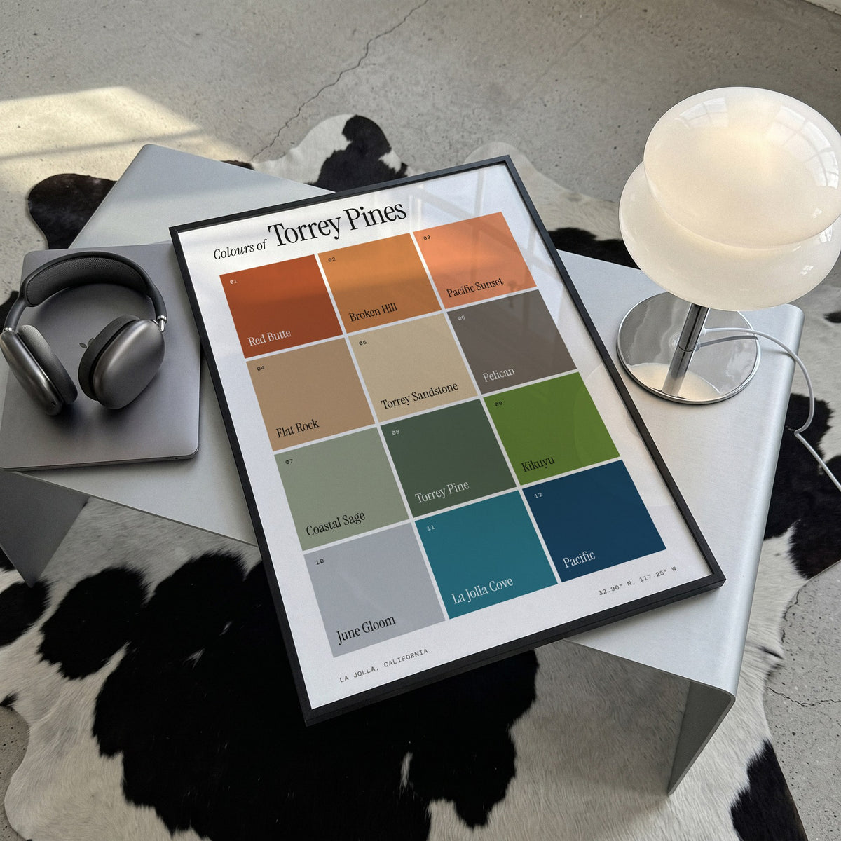 Colours of Torrey Pines print of twelve named colour squares on white, framed, lying on a steel table on a cowhide rug